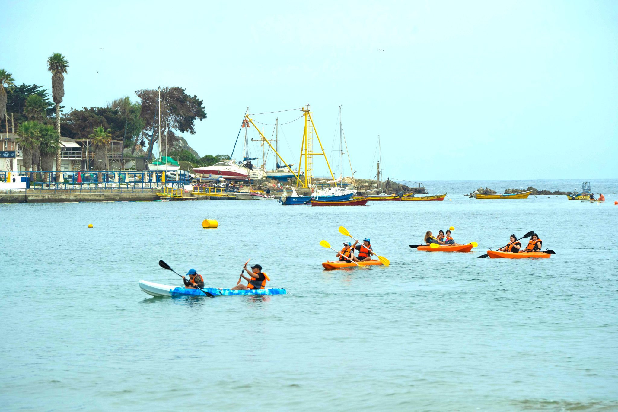 Nota-ZOIT-2048×1365