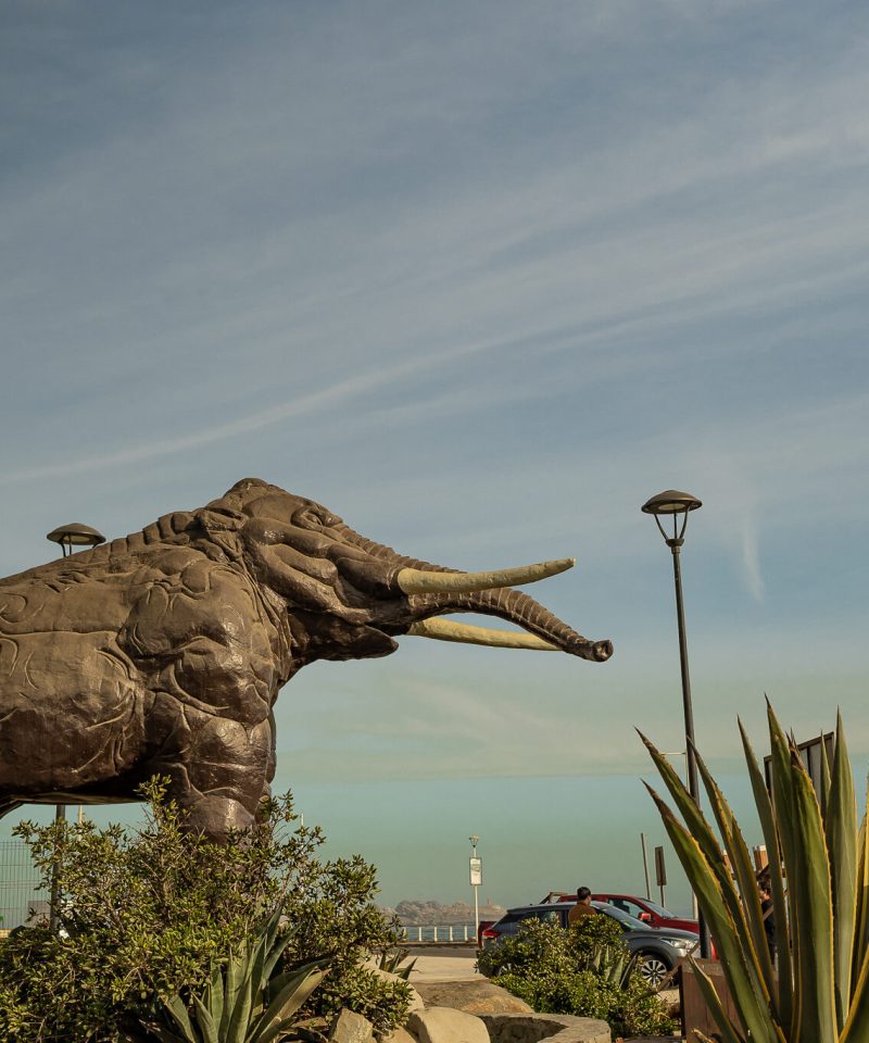 Borde Costero de Los Vilos