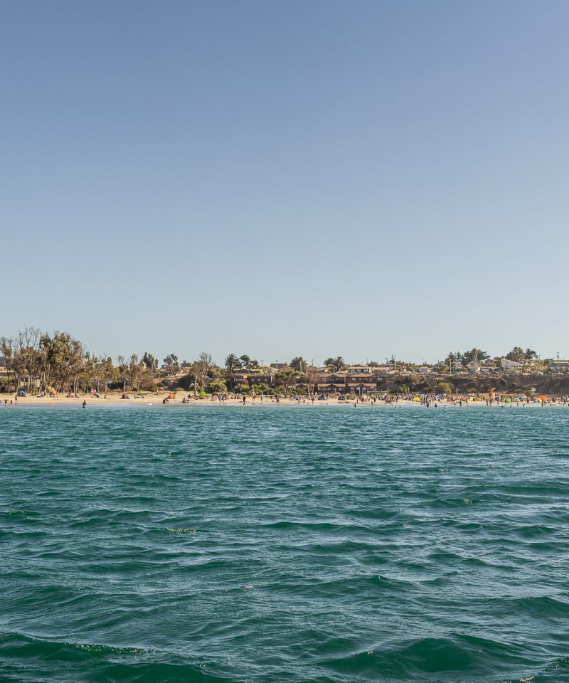 Playa de Pichidangui
