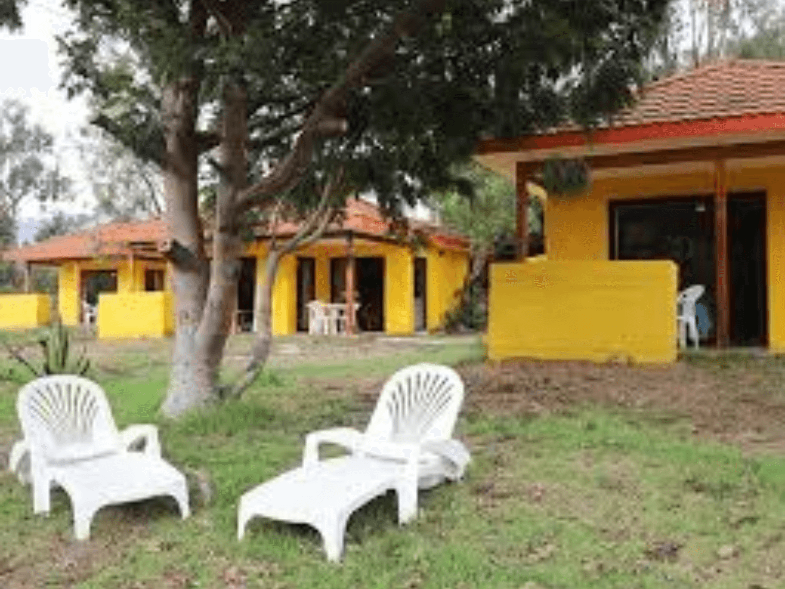 Cabañas Los Vilos