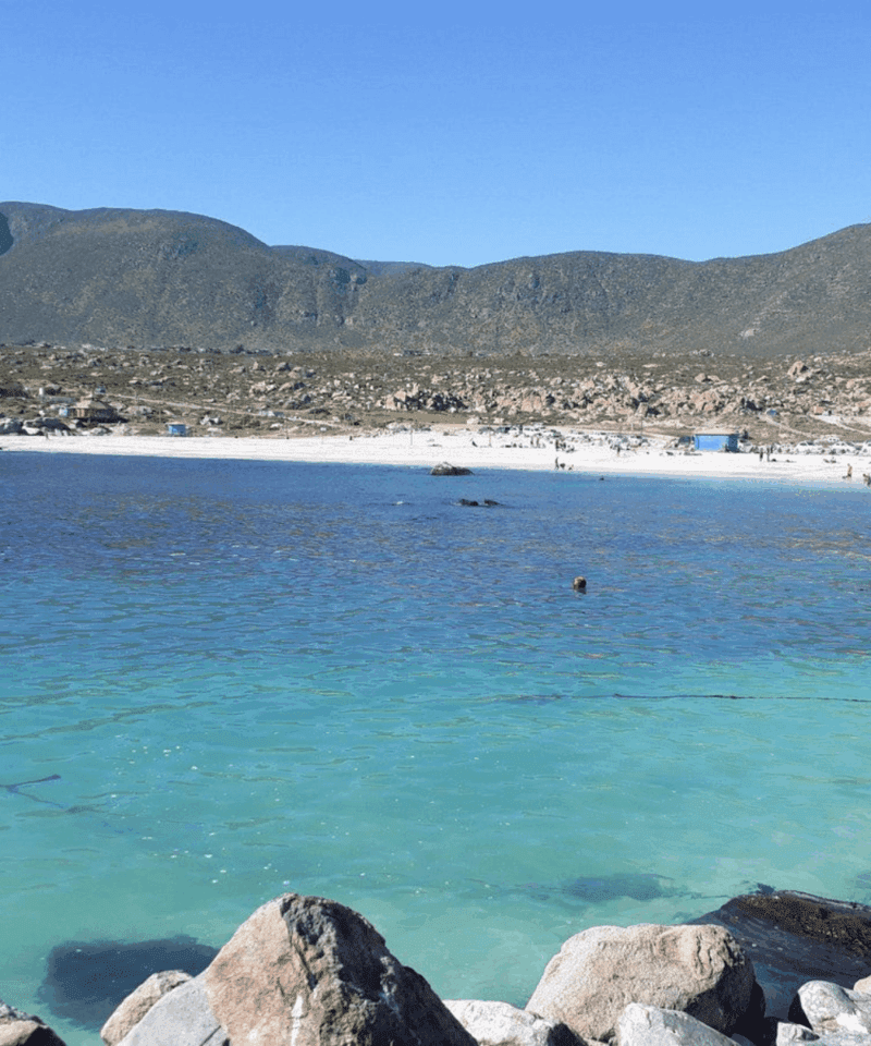 Caleta Totoralillo Sur