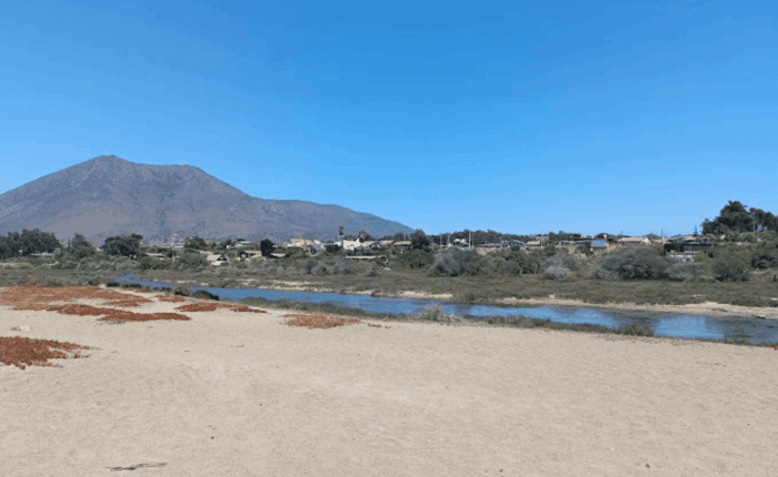 Humedal Urbano Pichidangui