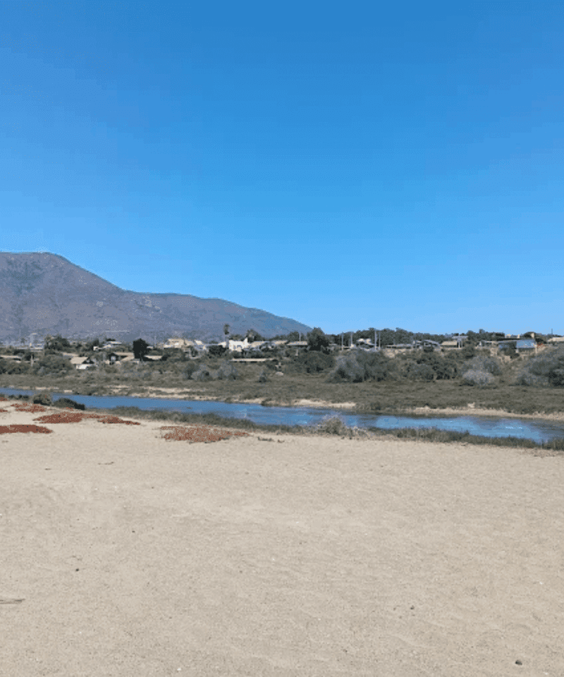 Humedal Urbano Pichidangui